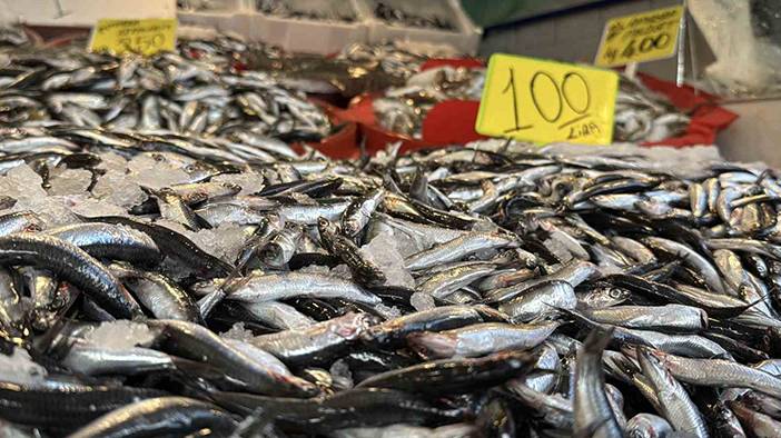 Palamutta da hile! Farkları tek tek sıraladık: Balıkçılar vatandaşı kandırıyor! 4